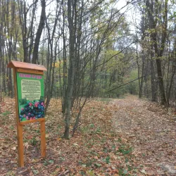 Park of Culture and Recreation - Nizhyn