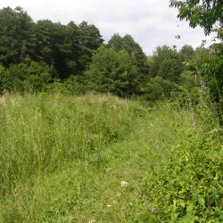 Park of Culture and Recreation - Nizhyn