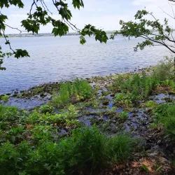 Children’s Park - Nova Kakhovka