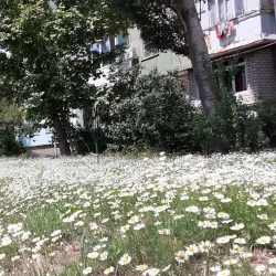 Kakhovka Reservoir - Nova Kakhovka