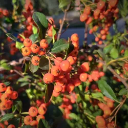 Monument to the Founders of Nova Kakhovka - Nova Kakhovka