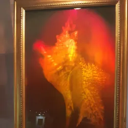 Nova Kakhovka Art Gallery - Nova Kakhovka