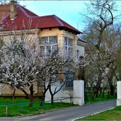 Nova Kakhovka Museum of Local Lore - Nova Kakhovka