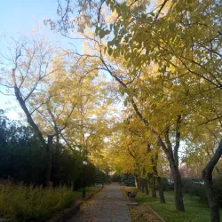 Victory Park - Nova Kakhovka