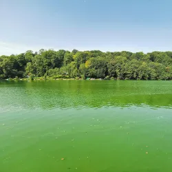 Nearby Carpathian Mountains - Novii Rozdil