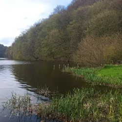 Novii Rozdil City Park - Novii Rozdil