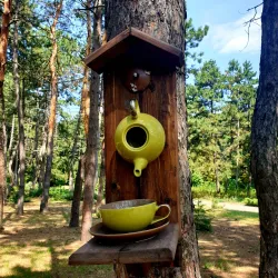 Novomoskovsk Botanical Garden - Novomoskovsk