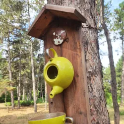 Novomoskovsk Botanical Garden - Novomoskovsk