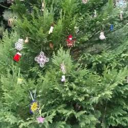 Novomoskovsk Botanical Garden - Novomoskovsk