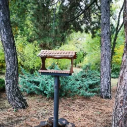 Novomoskovsk Botanical Garden - Novomoskovsk