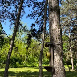 Novomoskovsk Botanical Garden - Novomoskovsk