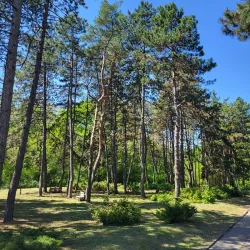 Novomoskovsk Botanical Garden - Novomoskovsk