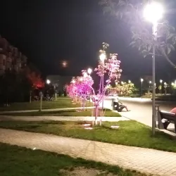 Novomoskovsk Central Park - Novomoskovsk