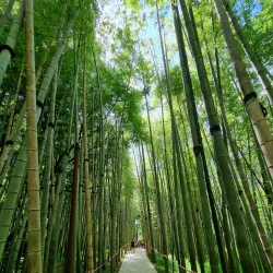 Dendrological Park - Novoukrainka