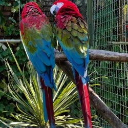 Dendrological Park - Novoukrainka