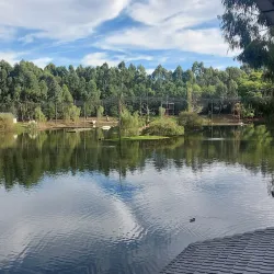 Dendrological Park - Novoukrainka