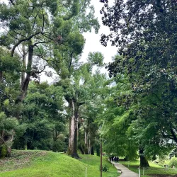Dendrological Park - Novoukrainka