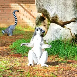 Dendrological Park - Novoukrainka