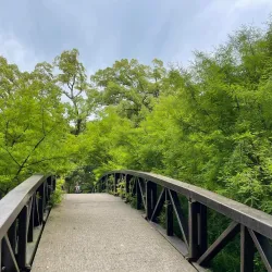 Dendrological Park - Novoukrainka