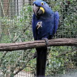 Dendrological Park - Novoukrainka