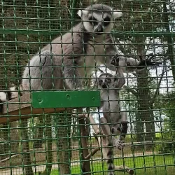 Dendrological Park - Novoukrainka
