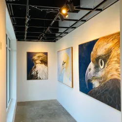 Local Art Gallery - Novoukrainka