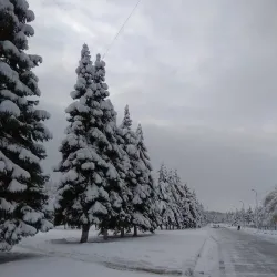 Memorial to Taras Shevchenko - Novoukrainka