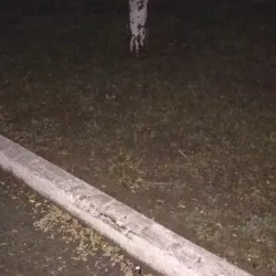 Memorial to Taras Shevchenko - Novoukrainka