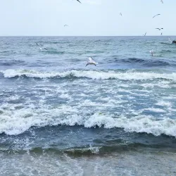 Arcadia Beach - Odessa (Odesa)