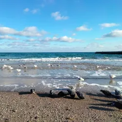 Arcadia Beach - Odessa (Odesa)