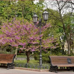 City Garden (Gorodskoy Sad) - Odessa (Odesa)