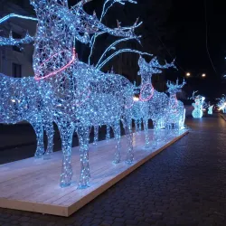 Deribasovskaya Street - Odessa (Odesa)