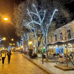Deribasovskaya Street - Odessa (Odesa)