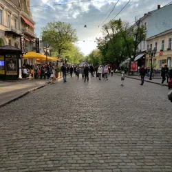 Deribasovskaya Street - Odessa (Odesa)