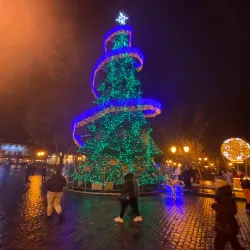 Deribasovskaya Street - Odessa (Odesa)