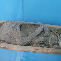 Odessa Archaeological Museum - Odessa (Odesa)