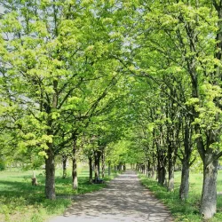 Pavlograd Railway Station - Pavlograd