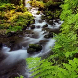 Korpusny Garden - Poltava