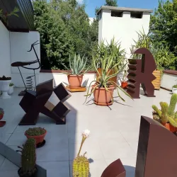 Poltava Art Museum - Poltava