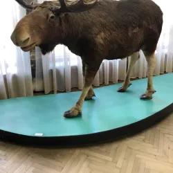 Poltava Regional Museum - Poltava