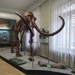 Poltava Regional Museum - Poltava