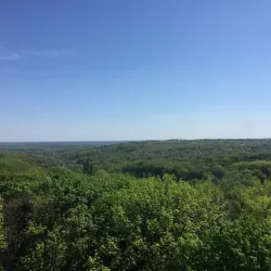 Victory Park - Poltava