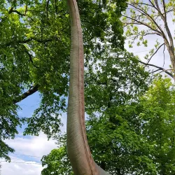 Museum of Ukrainian Pottery - Rivne