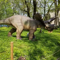 Museum of Ukrainian Pottery - Rivne