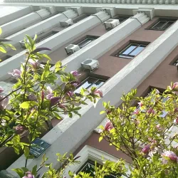 Rivne City Hall - Rivne