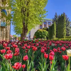 Rivne City Hall - Rivne