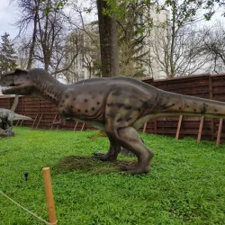 Rivne Regional Museum - Rivne