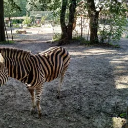 Rivne Zoo - Rivne