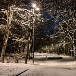 Shevchenko Park - Rivne