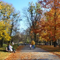 Shevchenko Park - Rivne